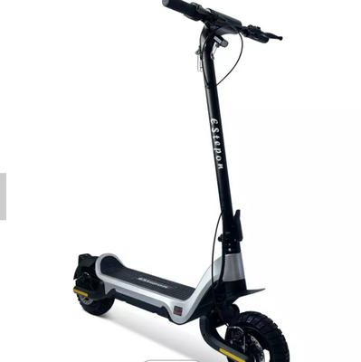 12 Inch Wheel 250 Watt Electric Road Scooter For Adults