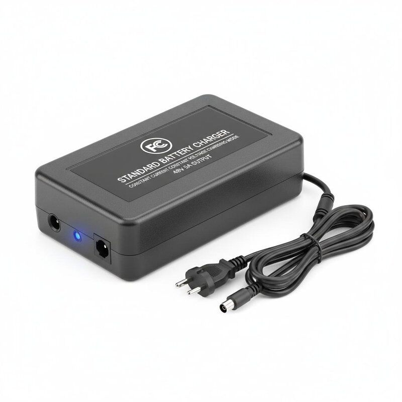 FCC Certified Standard Battery Charger with Constant Current Constant Voltage Charging Mode and 48V5A Output