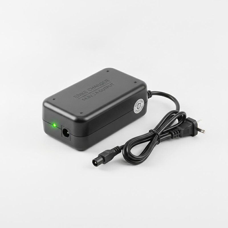 54.6V 2A Output Ebike Battery Charger with Overcharge Protection and Lightweight 300 Grams Design for Electric Bikes